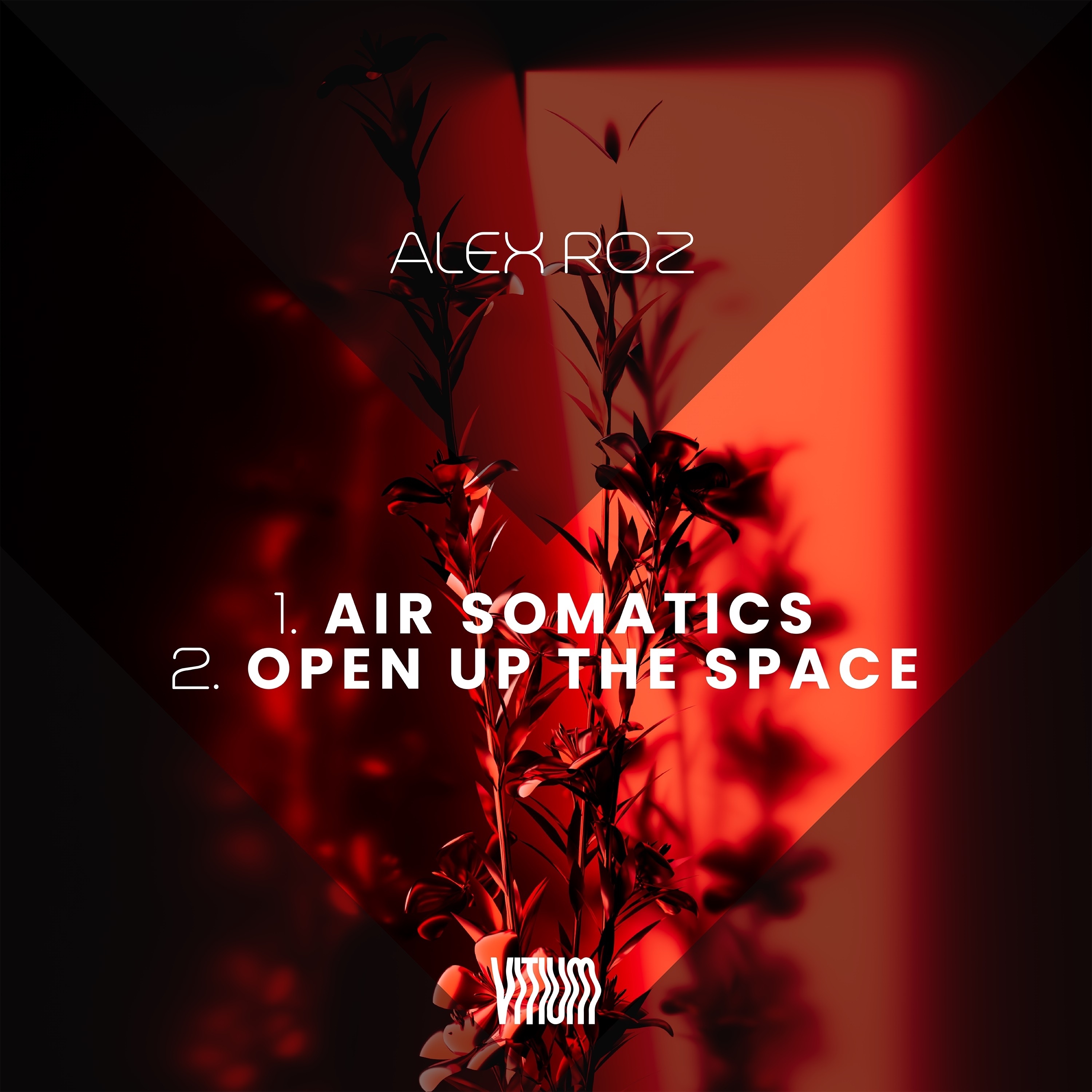 Air Somatics / Open Up the Space - Single