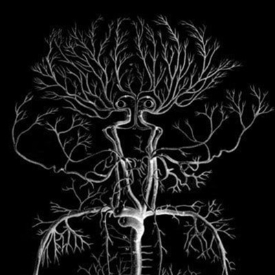 Nerve damage - Single