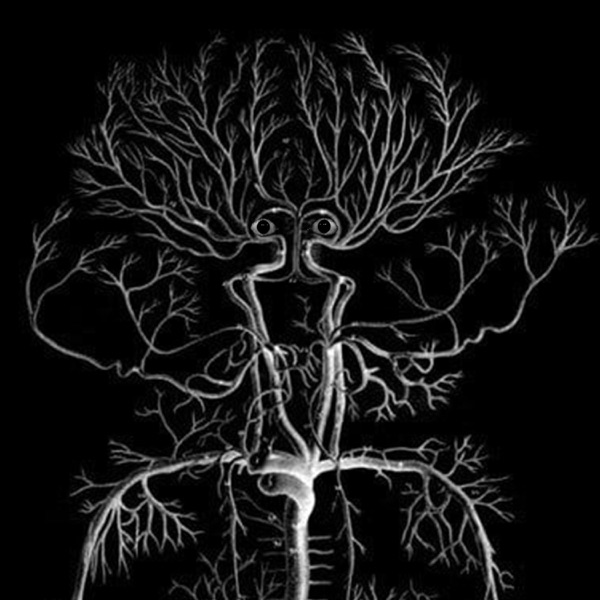 Nerve damage