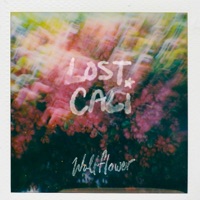 Wallflower (feat. Stars Go Dim) - Single - Lost Cali