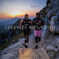 Legends Never Die - Single - Aygee