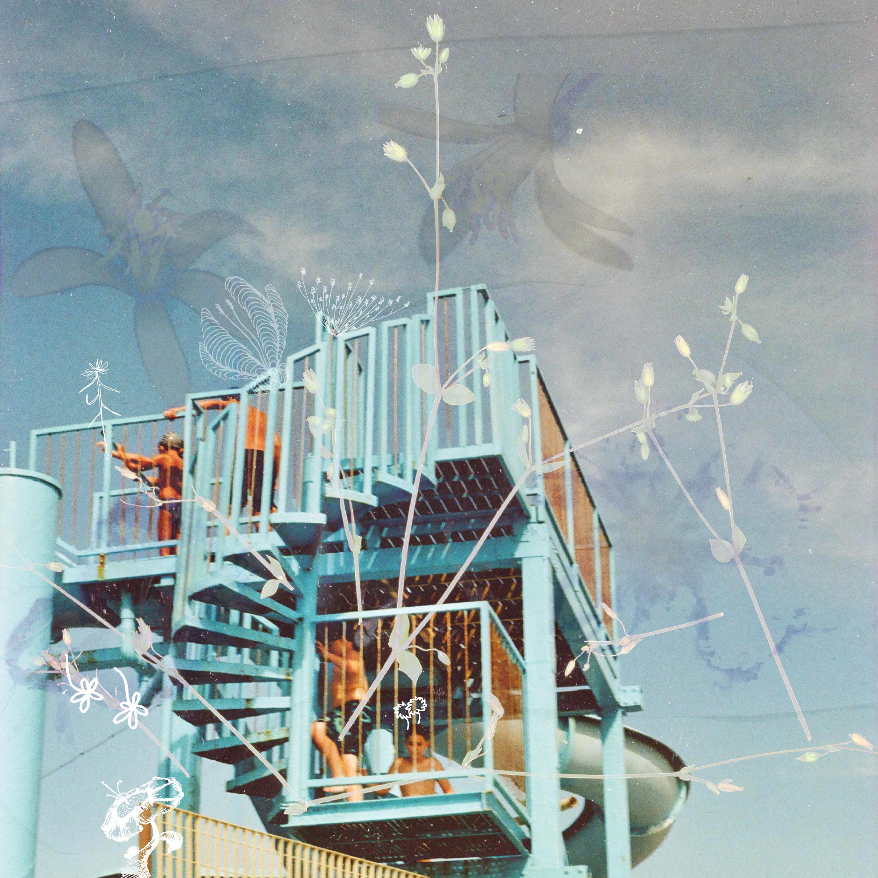 Fiori, fiori - Single