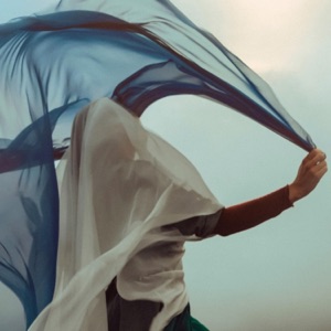 Flying Colours - Single