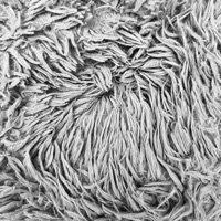 Another Nothing - Single - Brock Butler Band