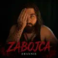 Zabójca