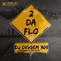 2 Da Flo - Single - DJ Diggem 305