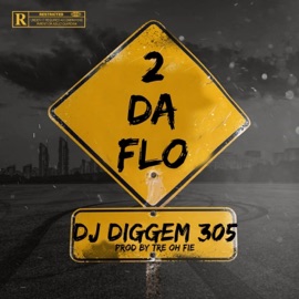 2 Da Flo DJ Diggem 305