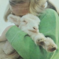 Stray - Single - elliebell