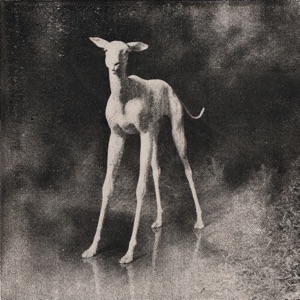 Ssspcrltd011 - Single