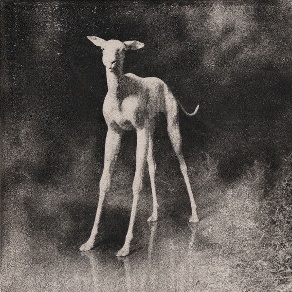 Ssspcrltd011 - Single