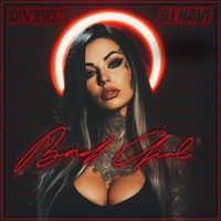 Bad Girl (feat. DJ Navi) - Single - Diverze