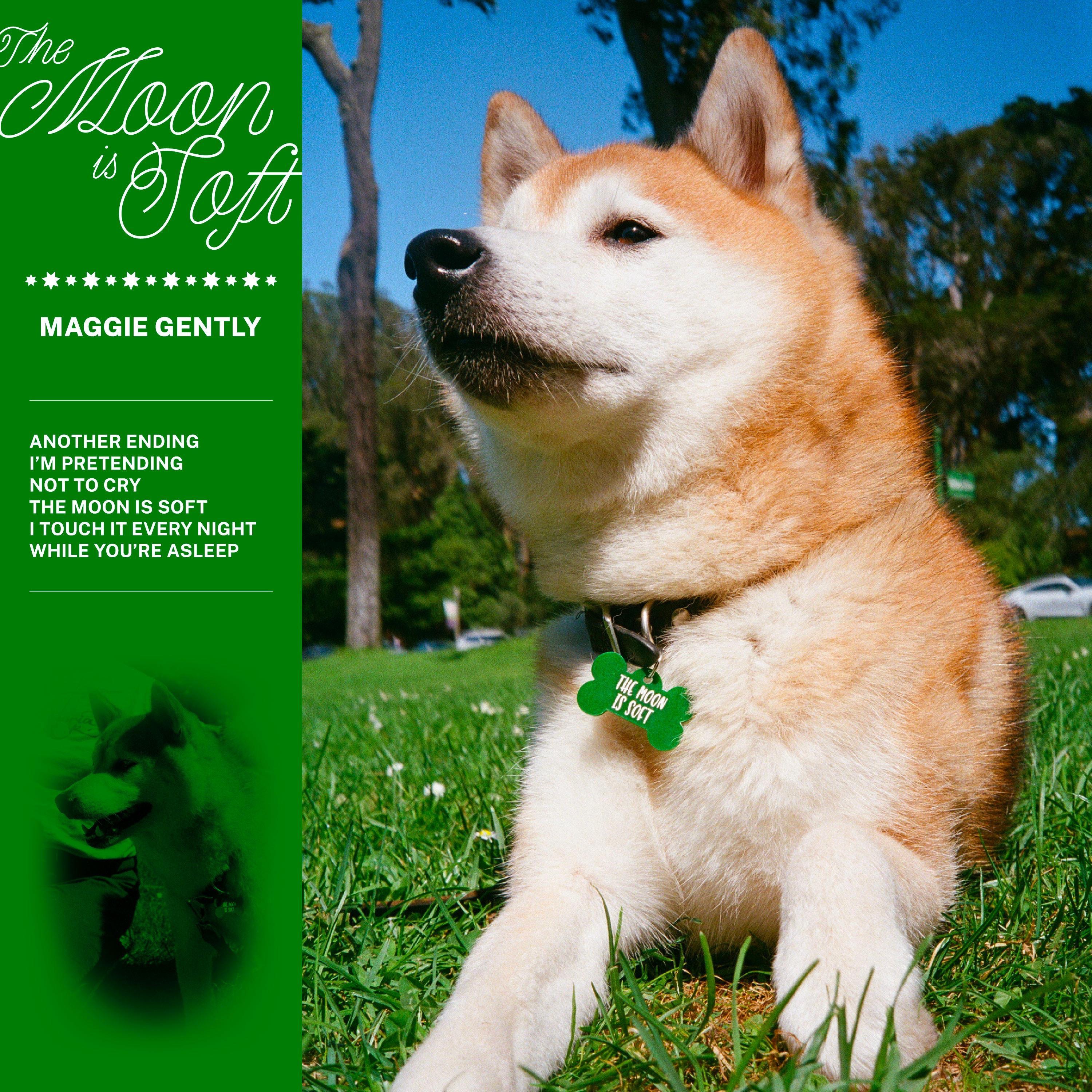 The Moon is Soft - Single