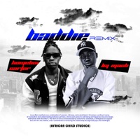 baddie (feat. Homeboi Carter) [remix] - Single - LCJ mach