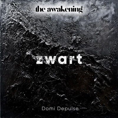 Zwart - Single
