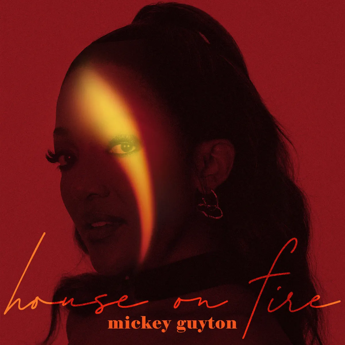 Mickey Guyton - House On Fire (2024) [iTunes Plus AAC M4A]-新房子