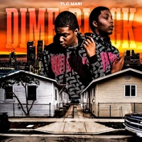 Dime Block - Single - TLG MARI