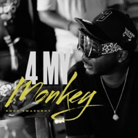 4 MY MONKEY - Rody Smashboy