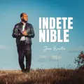 Los cielos cuentan su gloria