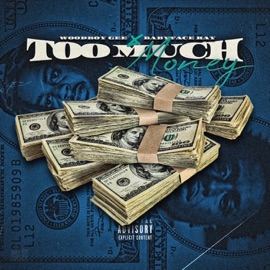 Too Much Money Woodboy Gee & Babyface Ray