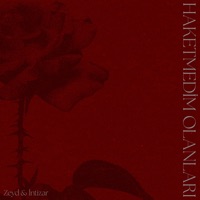 Haketmedim Olanları - Single - Zeyd & İntizar