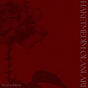  - Haketmedim Olanları