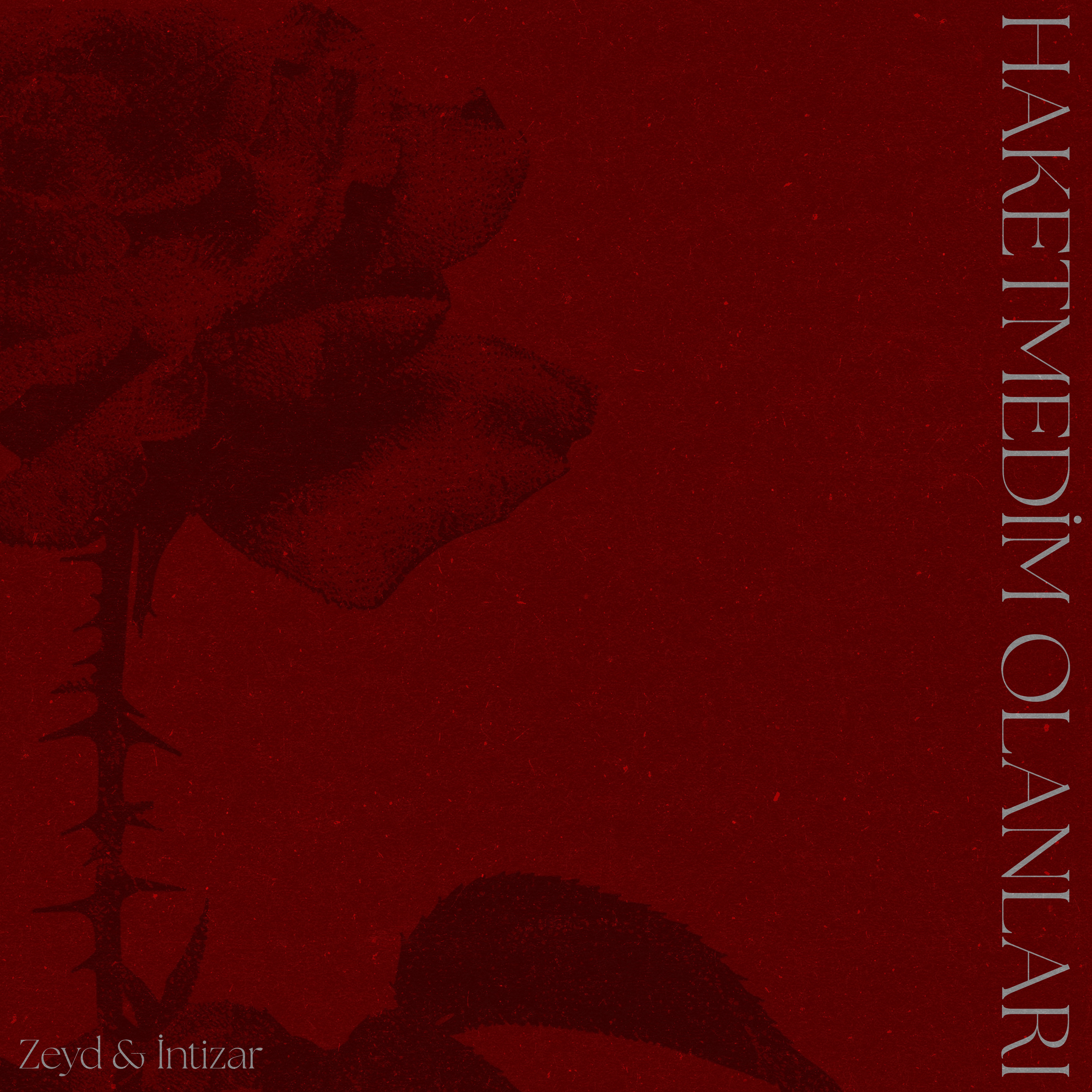 Haketmedim Olanları - Single