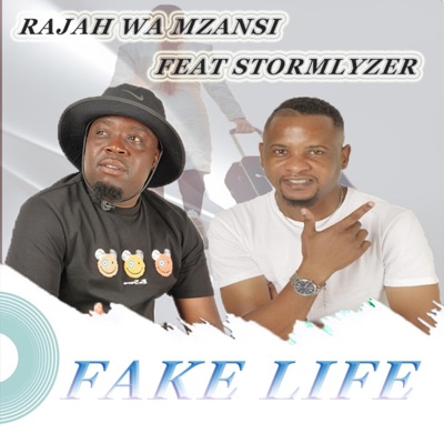 Fake Life (feat. Dj Stormlyzer) - Single