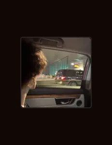 Escucha a SYNDRIFT, mira videos musicales, lee su biografía, consulta las fechas de las gira y más.