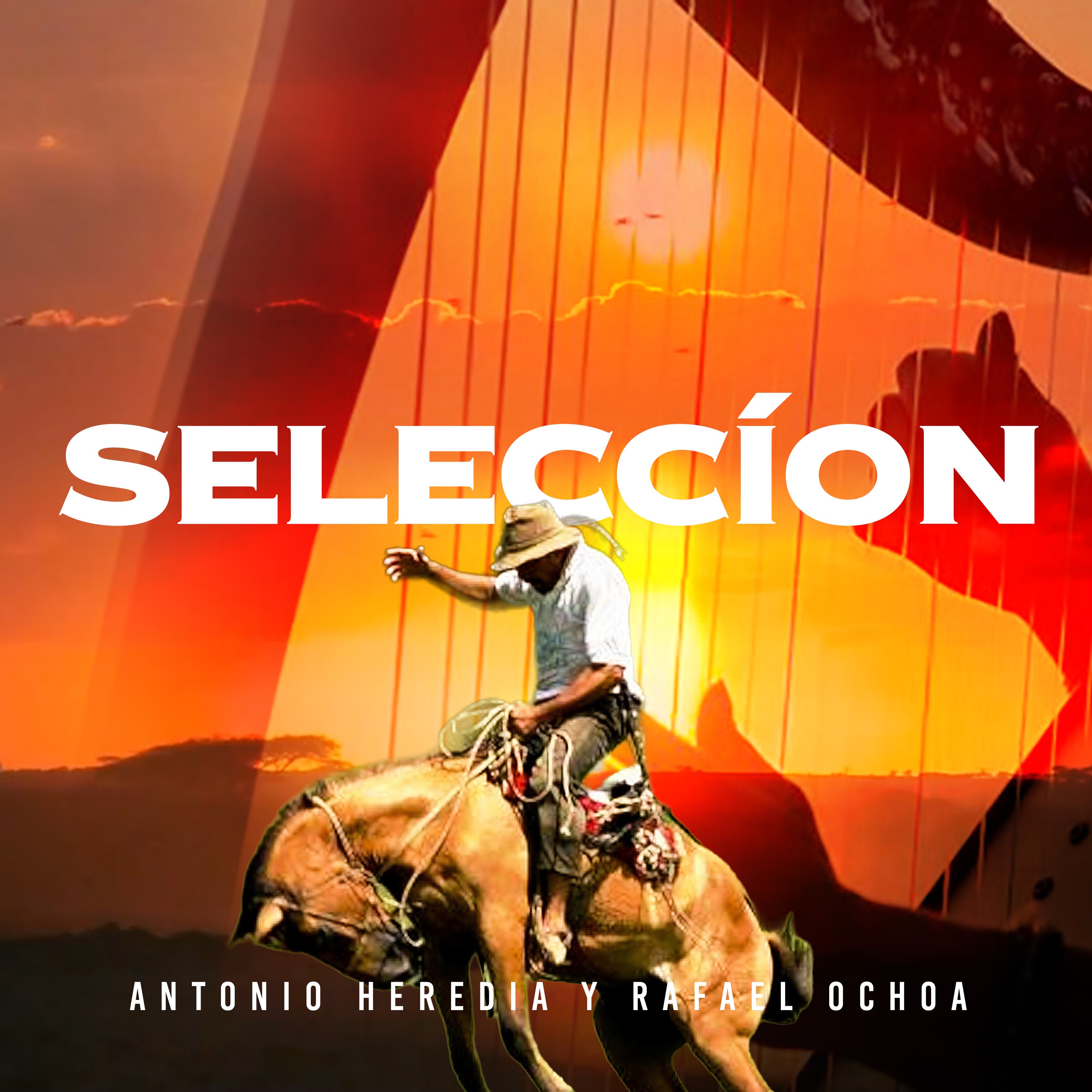 Selección