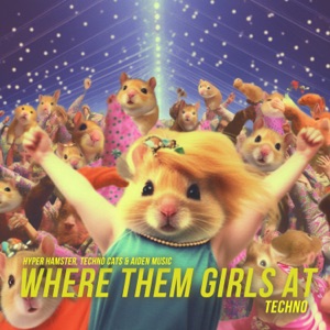 Where Them Girls At (Hypertechno)