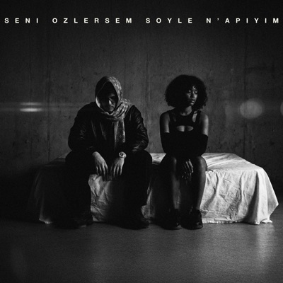seni özlersem söyle n'apiyim? - Single