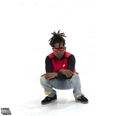 Vinicius (feat. Lil Einyel) - Single