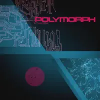 Polymorph — Compilerbau