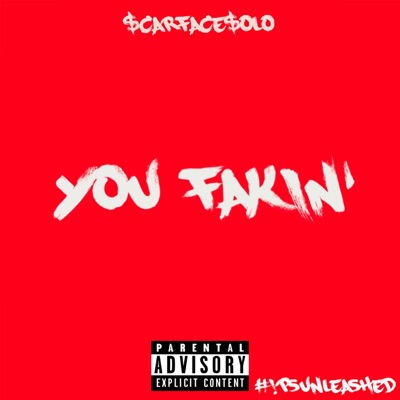 you fakin' - Single