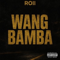 WANG BAMBA (feat. SBUDEX & KAMZA DEE PRODUCER) - Single - ROII