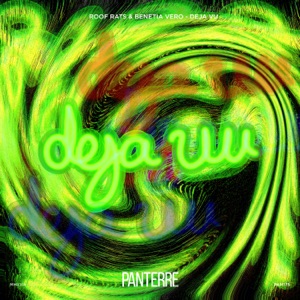 Deja Vu - Single