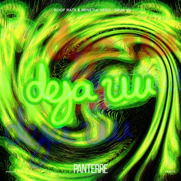 Deja Vu - Single