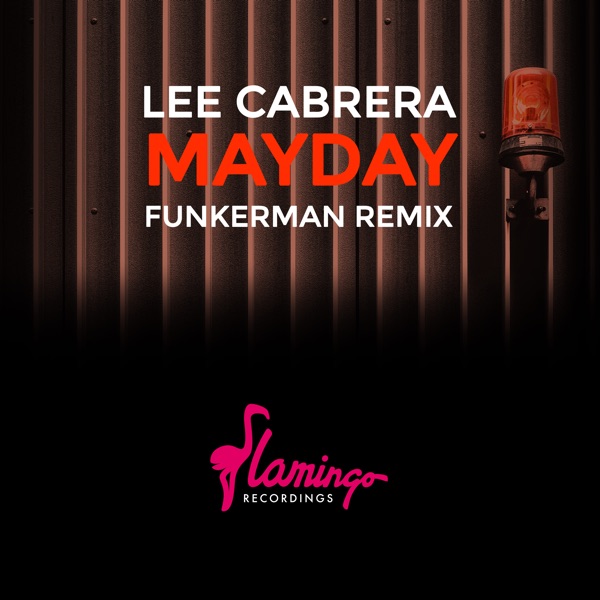 Mayday (feat. Funkerman) [Funkerman Remix] - Single