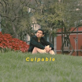 Culpable Bryan