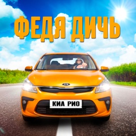 Киа Рио Федя Дичь