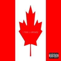 miss u already - Single - Lovelynils