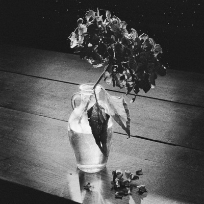 Métamorphose - Single