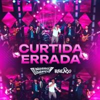 Curtida Errada (Ao Vivo) - Single - Nosso balanço & Grupo Bailaço