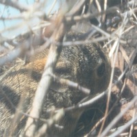 Were Mine - Single - Renjā