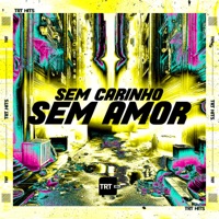 Sem Carinho Sem Amor (feat. DJ MAGRO) - Single - MC PANDA, MC Pett & TRT HITS