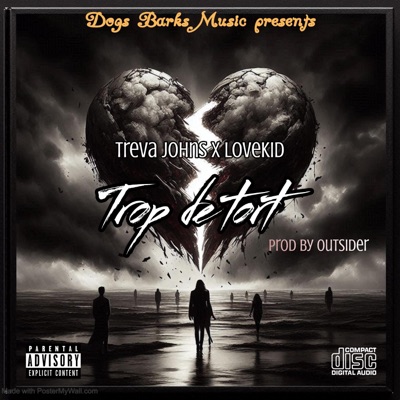 Trop de tort (feat. Lovekid & Treva Johns) - Single