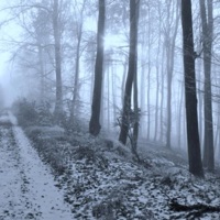 Memory - Single - Wheressk