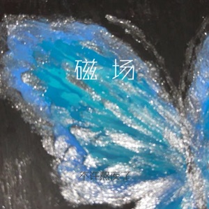 磁场 - Single