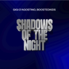 Shadows Of The Night (GIGI DAG Mix) - Gigi D'Agostino & BOOSTEDKIDS