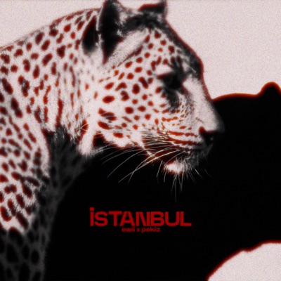 İSTANBUL - Single